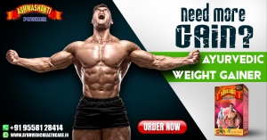 Best Weight Gainer For Body Building